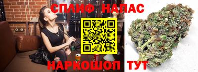 МДПВ Дмитров